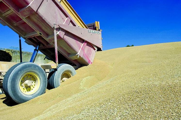 Le bilan blé tendre devrait se conclure sur un stock de fin de campagne de 6,43 millions de tonnes.