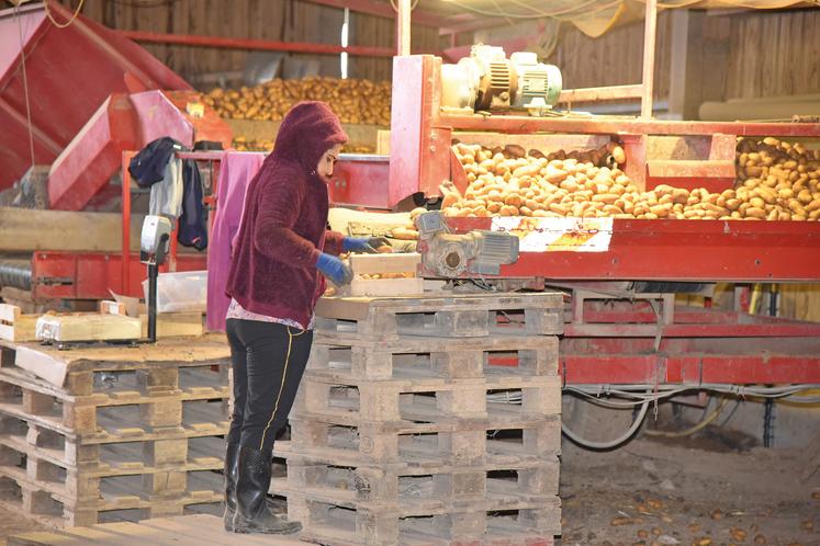 Un bon tri est une des clés d’un stockage réussi.