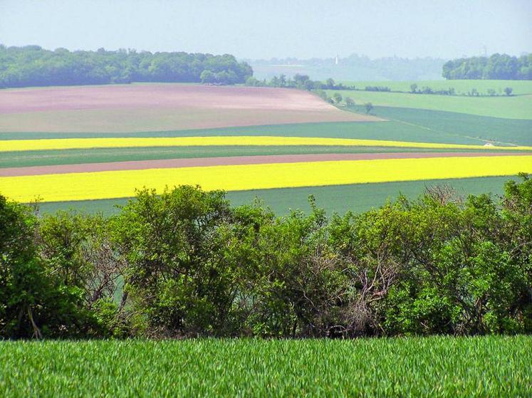 Les constructions sont possibles en zone naturelle dans les documents d’urbanisme, dit le rédacteur. Or, dans les faits, toutes les constructions n’y sont pas possibles, même si elles sont agricoles.