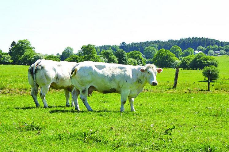 Selon le texte du compromis belge, les différentes entités du pays garderont un droit de regard, notamment en matière d'agriculture, pendant l'application provisoire et partielle du Ceta, en attendant sa ratification par l'ensemble des Parlements de l'Union européenne.