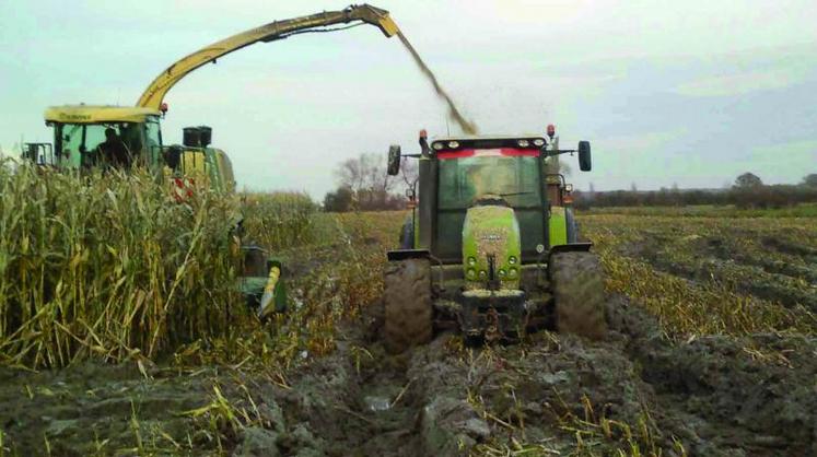 Les collègues sont venus avec leurs tracteurs pour sortir les maïs.