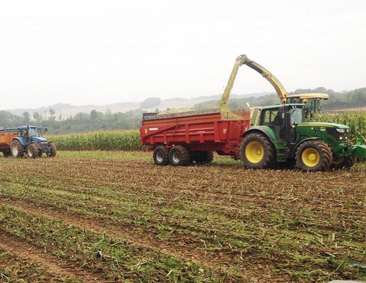 Vérifier l’éclatement des grains plusieurs fois dans plusieurs remorques au long de la journée.