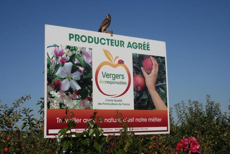 «Vergers écoresponsables» correspond à une véritable éthique de production répondant aux attentes des consommateurs en matière du respect de l’environnement et de qualité des produits.