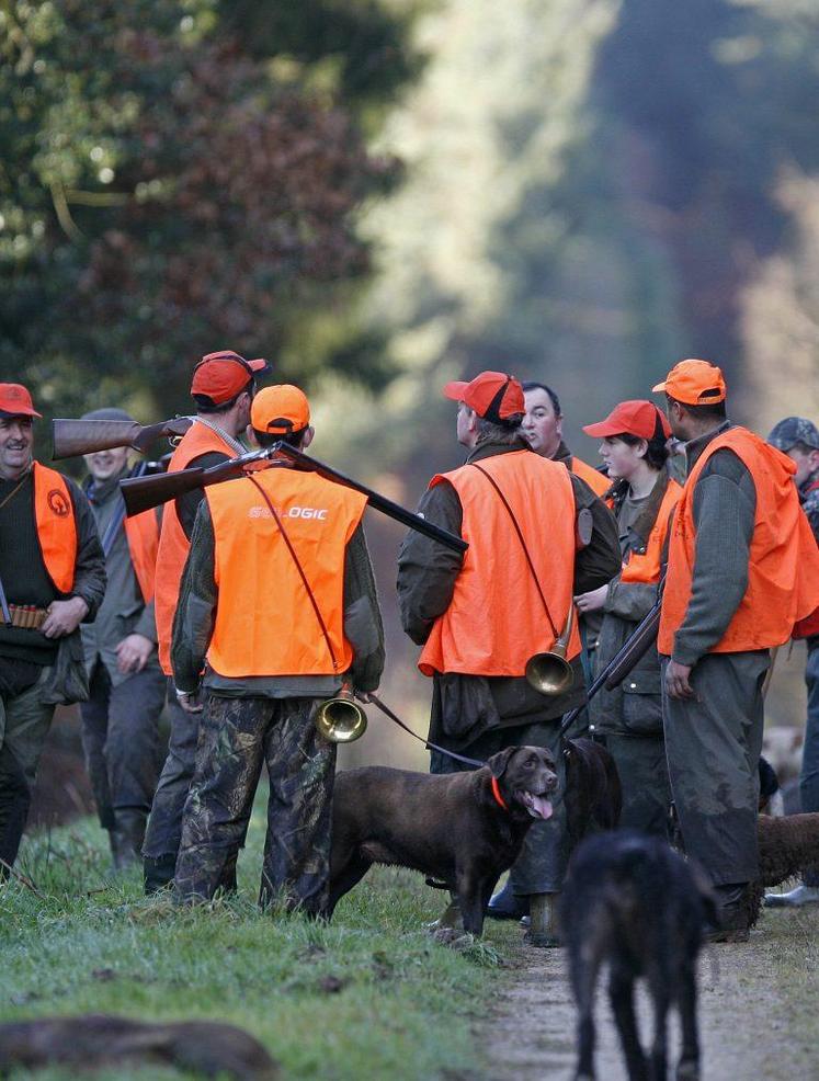 usqu'à nouvel ordre, et ce depuis le jeudi 29 octobre minuit, la pratique de tous les modes de chasse est suspendue en raison de la mise en place d'un confinement de la population pour tenter de limiter la propagation du Covid-19.