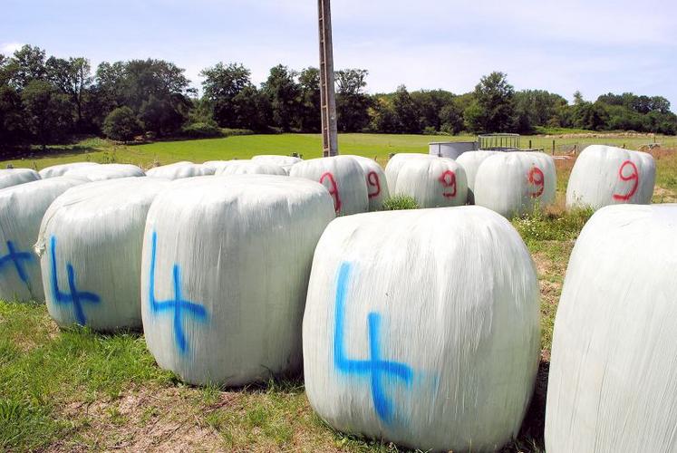 Le fourrage doit être récolté sans terre.
