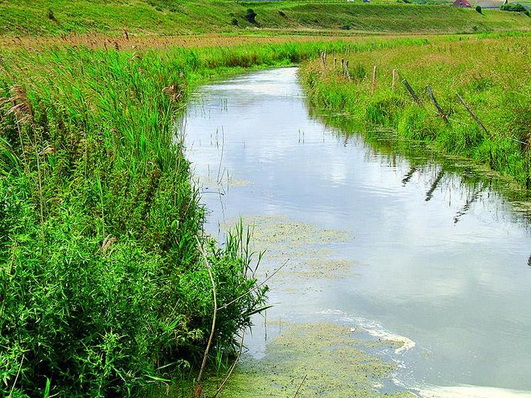 Un lit naturel, un débit suffisant et une source : les 3 conditions à réunir pour être classé «cours d’eau».