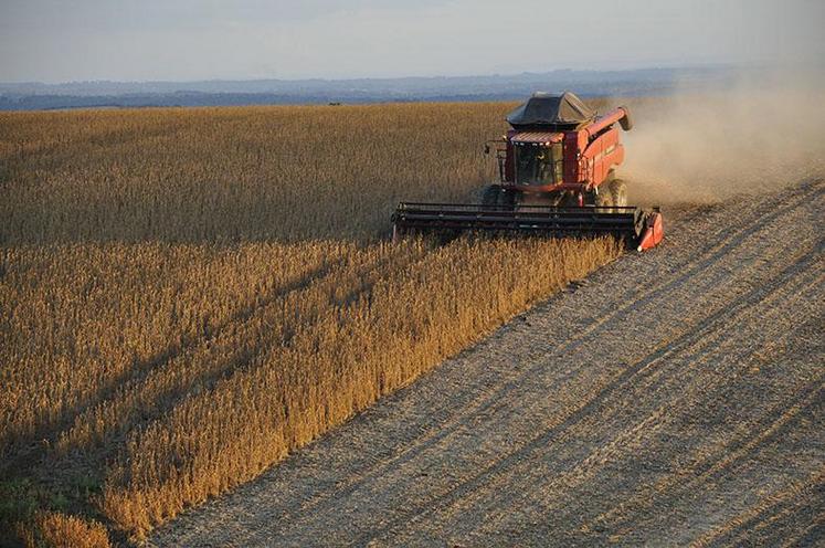 250 agriculteurs du Centre-Val de Loire, de Normandie et des Hauts-de-France, sont en attente de recouvrement des créances.