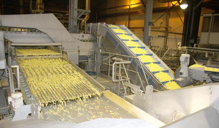 Selon les représentants de McCain, la perte de volumes liée à la sécheresse de 2018 s’élève à environ 8 000 tonnes.