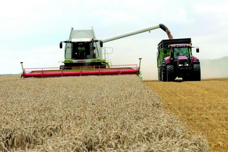 Agriculteurs et collecteurs ont été surpris par l’emballement des récoltes. Malgré des situations qui décrochent çà et là, les rendements en blé sont en général supérieurs aux niveaux attendus.