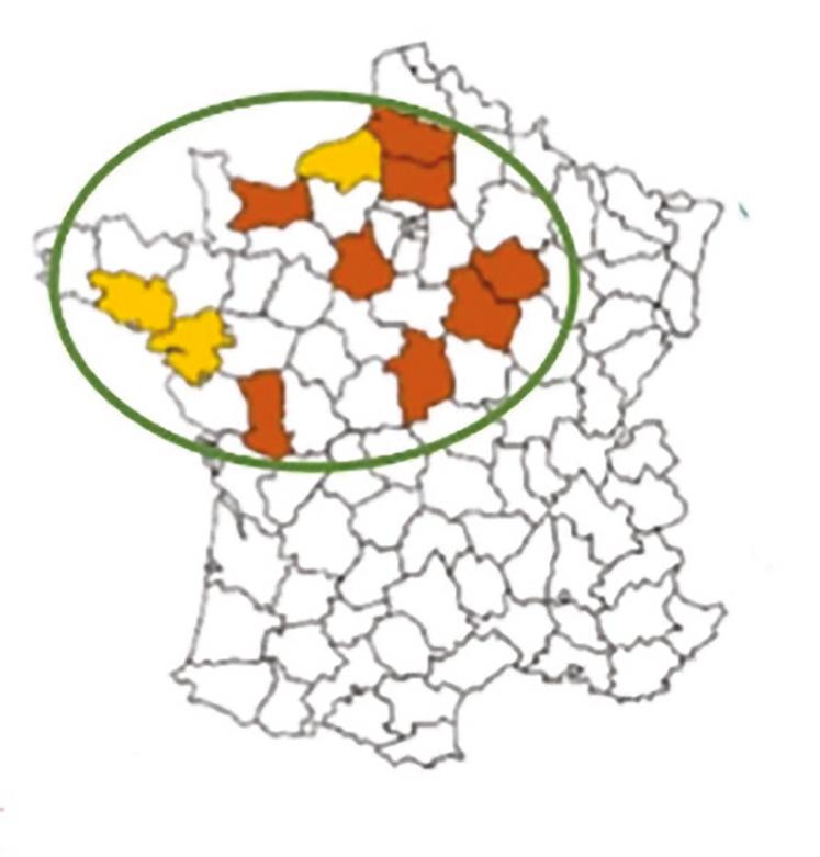 Potentiel de développement d'une ﬁlière cameline en dérobé  pour les biocarburants aériens.