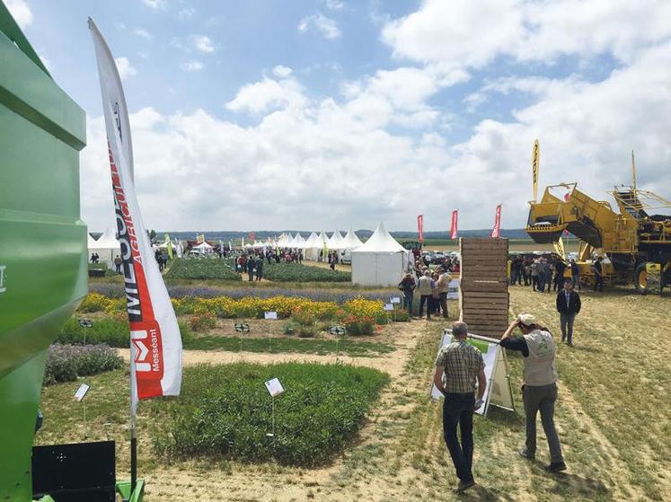 D’après les techniciens régionaux, le potentiel de rendement des pommes de terre a été faiblement impacté par la sécheresse du printemps.