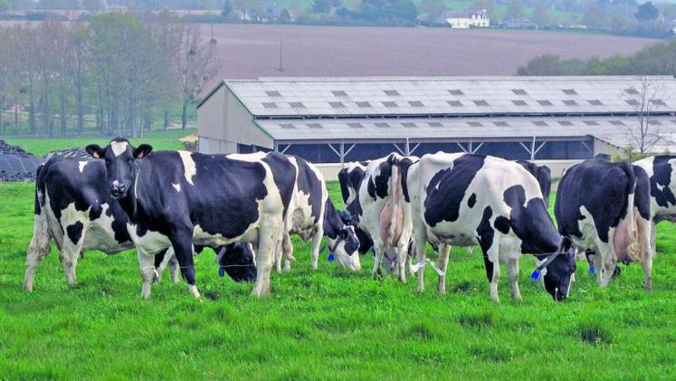 Cette étude montre finalement que pâturer avec un robot est possible dans tous les systèmes.