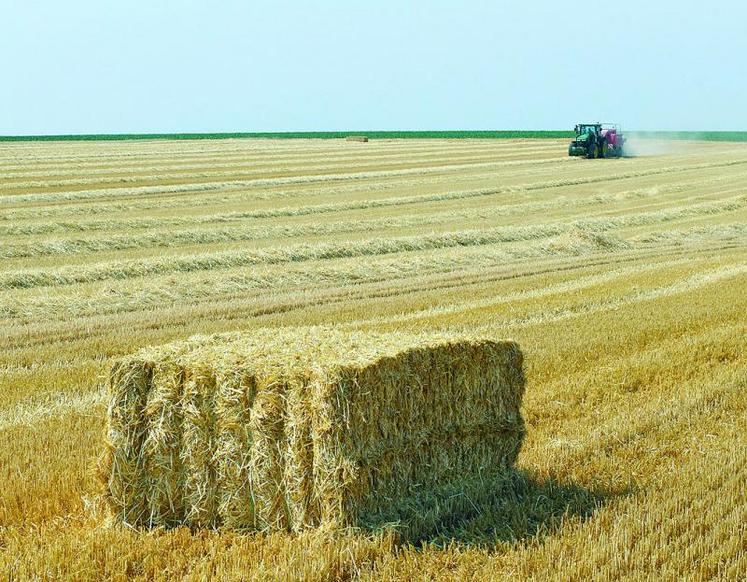 La qualité de la récolte 2015 autorise tous les espoirs et pourtant les céréaliers craignent pour leurs revenus.