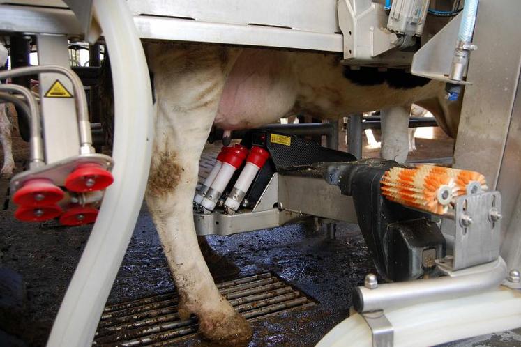 La moitié des agriculteurs français qui s’installent en élevage laitier achètent un robot de traite.