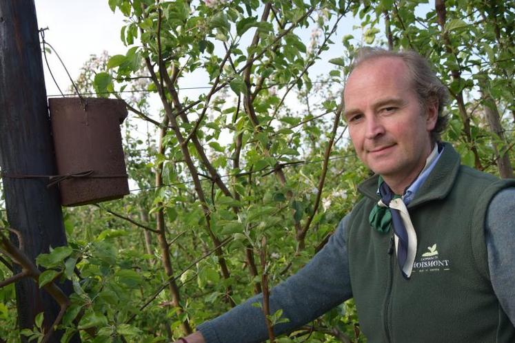Bernard Nicolaï a installé des nichoirs à mésanges dans ses vergers, parce que ces dernières dévorent des centaines 
d’insectes, des vers et des chenilles chaque jour. Un auxiliaire précieux évitant les traitements.