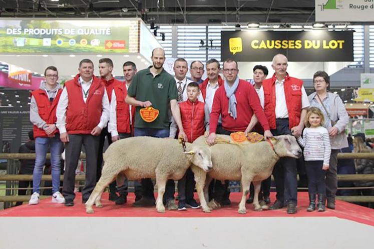 Sept éleveurs des Hauts-de-France ont exposé un total de onze béliers et trois antenaises lors du dernier Sia.