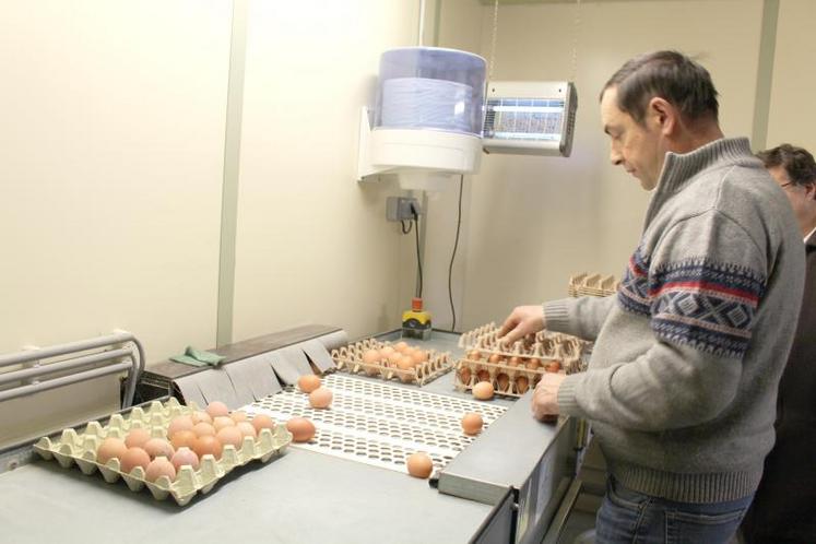 Seuls les œufs vendus en direct sont calibrés et datés du jour par Emmanuel Rouyère.