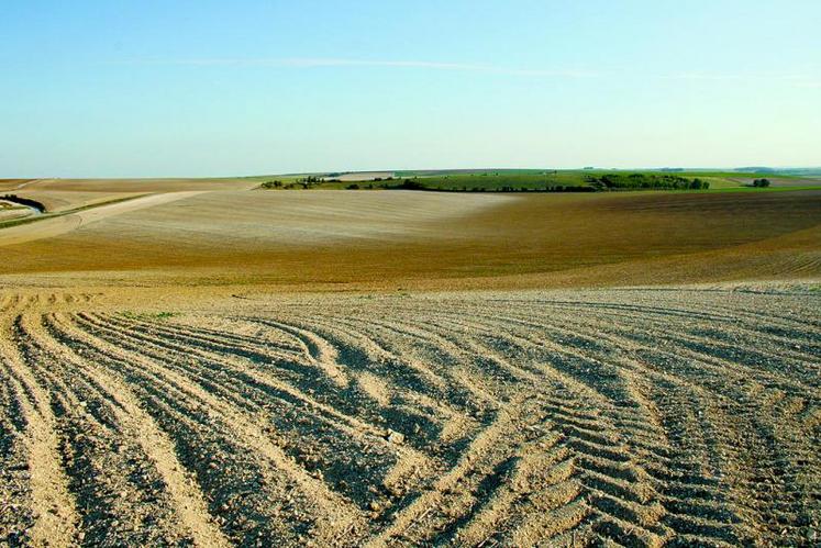 La dégradation des sols a été l’un des premiers sujets abordés lors de la conférence organisée par le ministère de l’Agriculture français et l’Ocde, le 16 septembre dernier, à Paris. En 150 ans, on a perdu 80 milliards de tonnes de carbone.