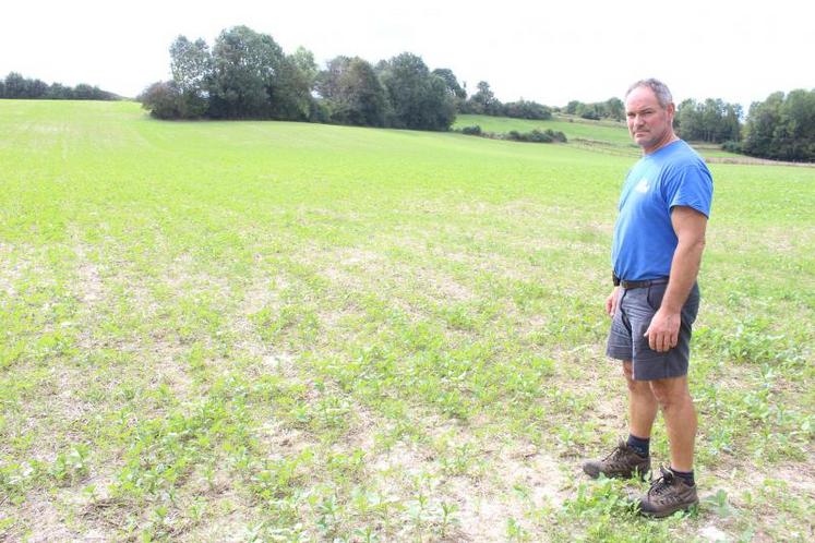 Convaincu du non-labour après avoir réalisé des profils de sol, David Ducellier n’imagine pas revenir en arrière. 