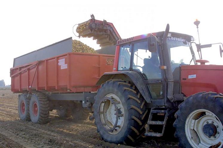 Le rendement moyen 2019 devrait se situer autour de 42,8 tonnes par hectare, contre 41 tonnes en 2018.