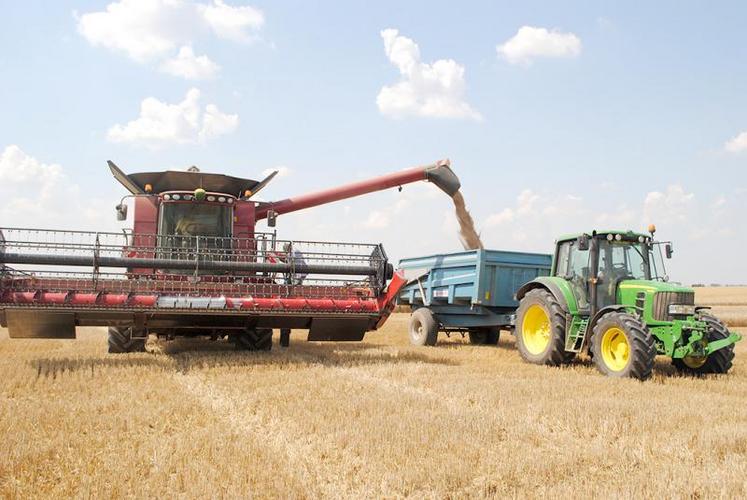 Les couverts sont semés le plus tôt possible après la moisson.