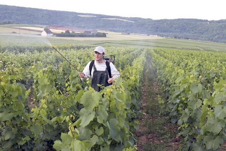 Sur près de six cents agriculteurs français, 41 % des exploitants en agriculture conventionnelle utilisent des produits de biocontrôle, tout comme 50 % des agriculteurs bio.