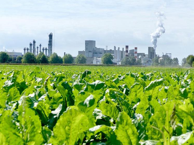 Timothé Masson : «Nous devons conserver notre potentiel de production.»