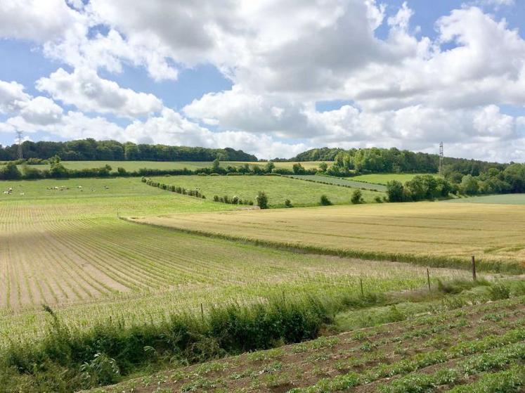 La SNPR dénonce des prix du fermage en baisse, une fiscalité très confiscatoire via l’impôt foncier, la décote qui s’applique sur les terres vendues louées, ou encore la recrudescence des non-paiements… 