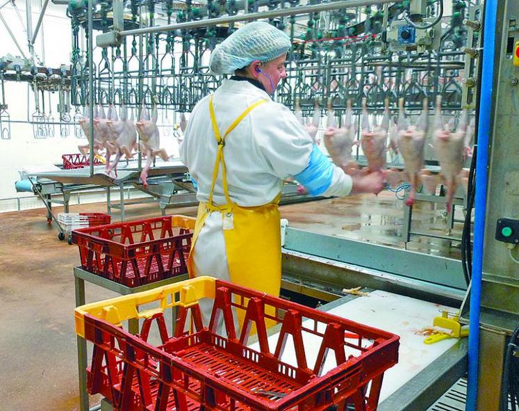 259 abattoirs sur 263 ont ainsi été contrôlés, soit 460 chaînes d’abattage.