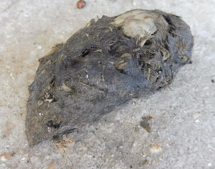 Pelote de réjection.