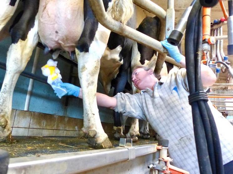 Avoir une vision à moyen terme de son exploitation, faire des choses que l’on aime, avec des personnes avec qui 
on s’entend bien, le tout dans une organisation bien définie : telle serait la recette du bonheur en élevage laitier ?