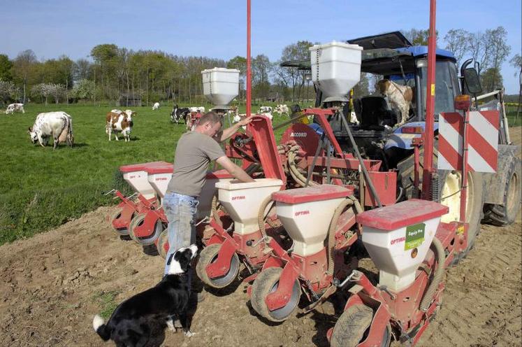 Avec le réchauffement des températures observé depuis 25 ans, un semis de mi-avril en 2015 n’est pas plus exposé au risque de gel qu’un semis de début mai dans les années 80.