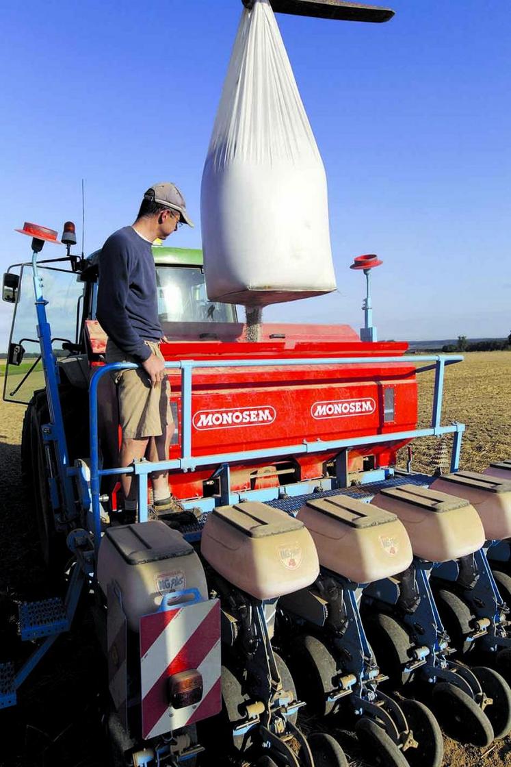 Les agriculteurs pourront une dernière fois cultiver du colza,
semé à l’automne, traité avec des néonicotinoïdes.