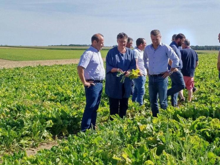 La députée du Loiret, Marianne Dubois, le 17 juillet dernier, lors d'une visite de terrain pour constater les dégâts de la jaunisse dans les parcelles de betteraves de son département.