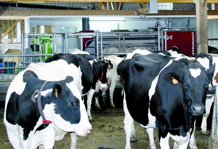 La fin des quotas représente selon la stratégie et les marchés de la laiterie une opportunité de développement de l'atelier laitier.
