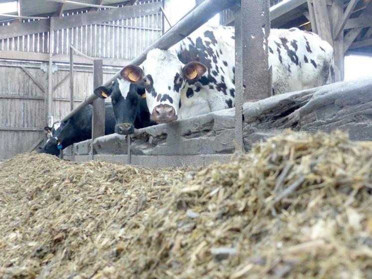 Inutile de constituer des stocks trop importants (en aliments pour bovins notamment). Aucune pénurie ne se profile pour le secteur agricole.