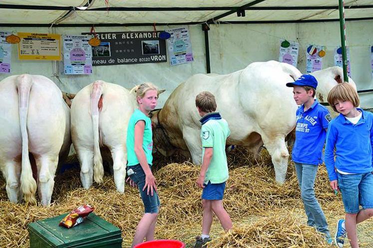 Les enfants pourront s’essayer à la traite des vaches, mais c’est sur une fausse vache...