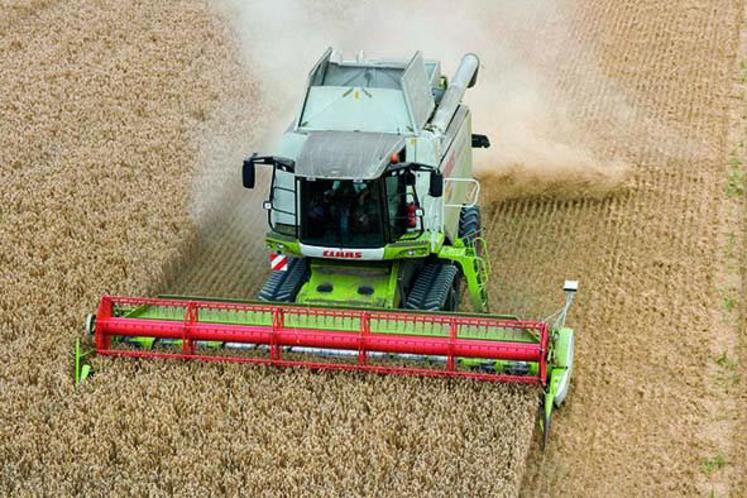 Le choix du mode d’investissement n’est pas seulement étudié au regard du coût de revient à l’hectare. Les aspects 
comptables, fiscaux, d’organisation de chantier ou de main-d’œuvre ont au moins autant d’importance.