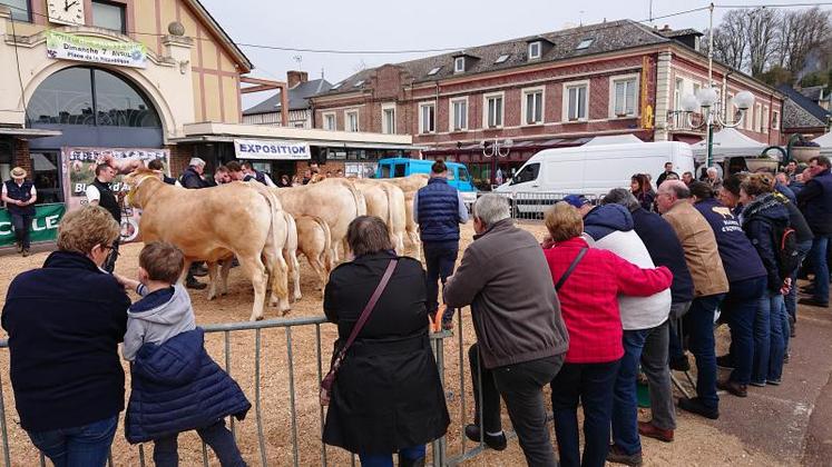 La Foire de printemps de Poix-de-Picardie est annulée, au grand dam des éleveurs du secteur.
