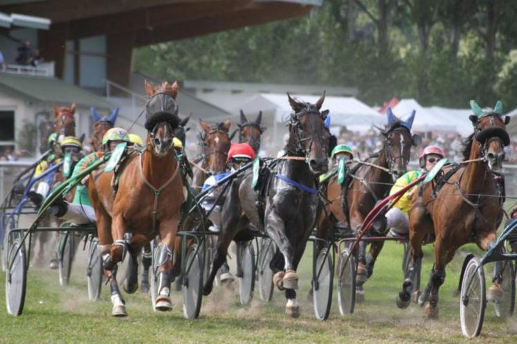 Le 9 août dernier, certains propriétaires de chevaux et cavaliers ont fait le déplacement à Abbeville pour rien.