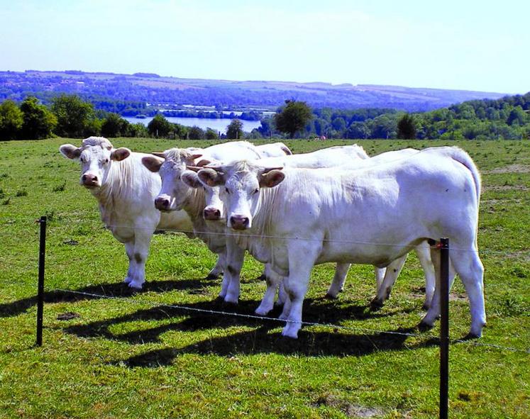 920 € de marge/ha de surface fourragère sur les terres les moins bonnes de l’exploitation.