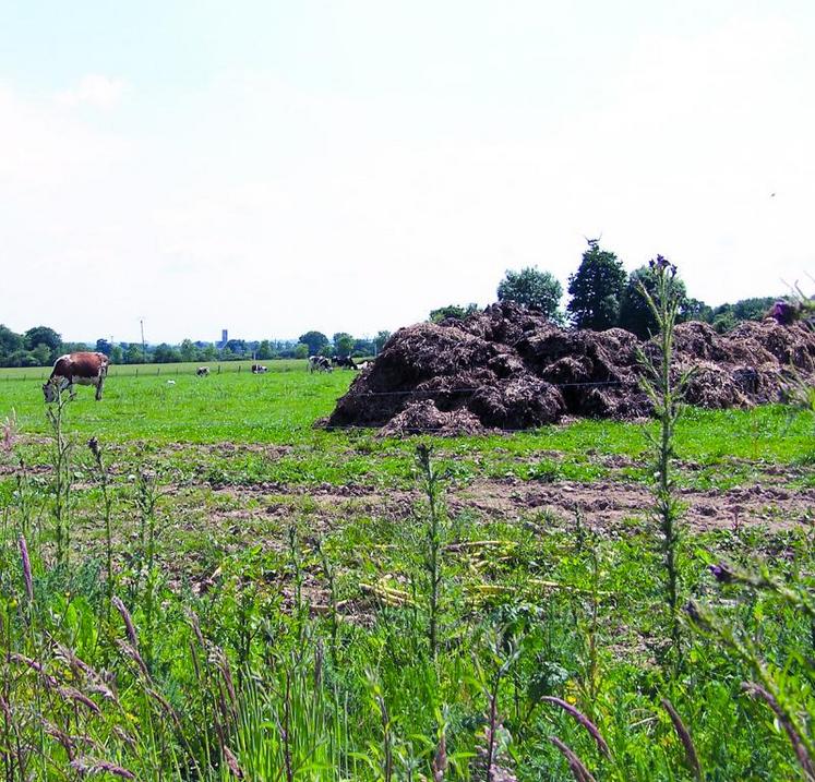 Le stockage au champ est limité aux seuls fumiers compacts non susceptibles d’écoulements qui ont séjourné au moins deux mois sous les animaux ou en fumière.