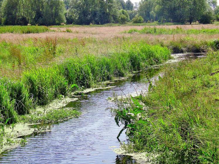 «Il appartient désormais à la nouvelle grande région Nord-Pas-de-Calais-Picardie d’étudier les suites à donner au projet 
du SRCE picard», a déclaré la préfète de Région, avant de quitter le département de la Somme.