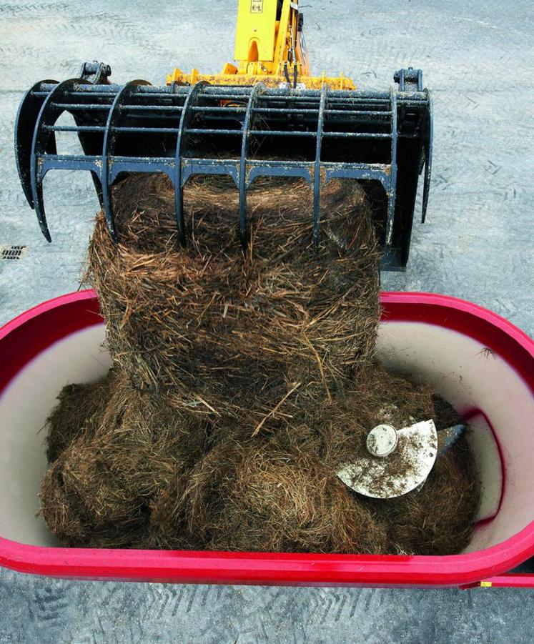 L’avantage des mélangeuses à vis verticales réside dans leur 
capacité à absorber des balles entières de fourrage.