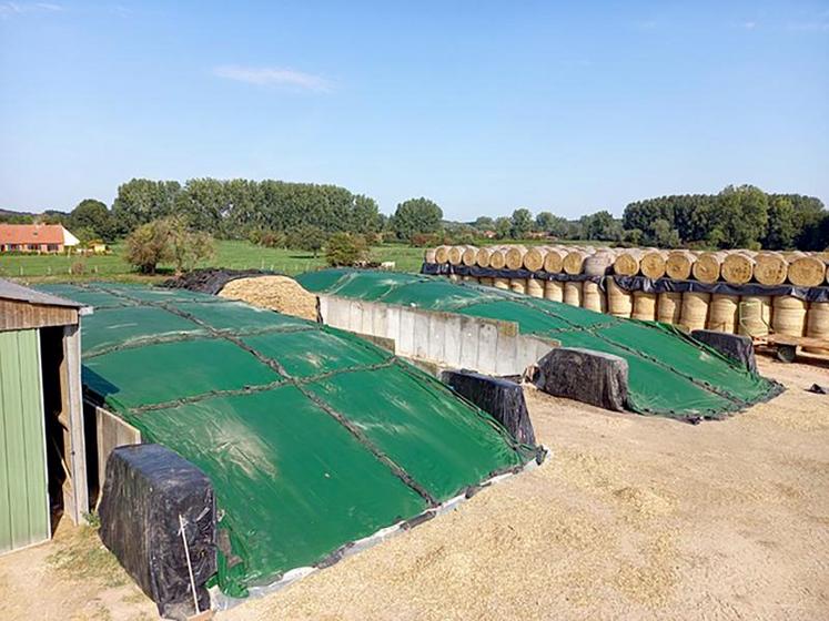 Deux silos de 352 et 320 mètres carrés sont constitués par le Gaec Boudaillier pour l’alimentation de leur troupeau de vaches laitières. Exit les pneus pour la couverture désormais remplacés par un filet protecteur et un film barrière à oxygène commercialisé par Velitex.