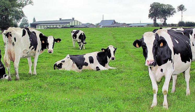 La loi n’encadre pas de manière générale la cession de contrat.
