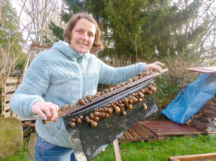 Camille lâche 200 000 naissains au printemps, et tous les escargots sont abattus avant l’hiver. Seuls quelques-uns sont conservés pour les visites pédagogiques.