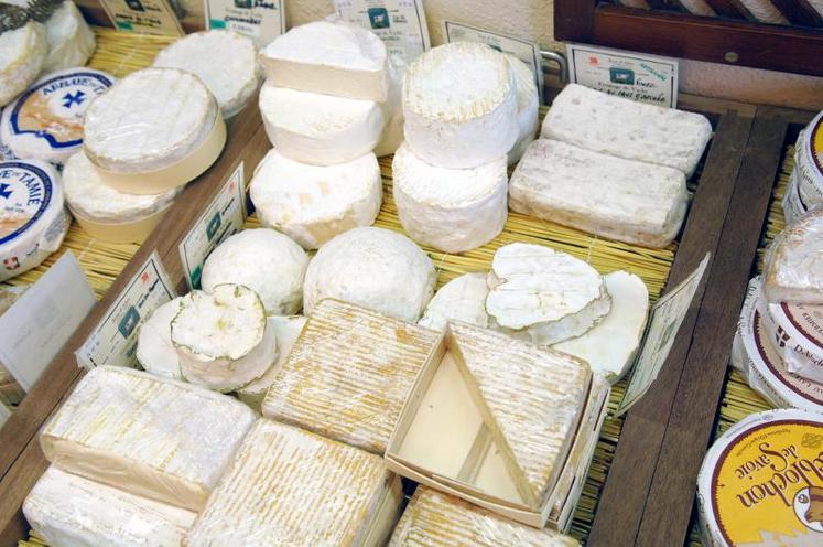 Les exportations vers les pays tiers ont connu un fort accroissement. Ainsi, la part de la France dans les exportations de l’Union européenne vers les pays tiers s’est renforcée dans les années 2010. Elle a dépassé 17 % alors qu’elle était à moins de 16,5 % en 2000. La croissance provient, entre autres, des exportations de fromages.