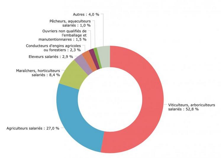 Nombre de projets de recrutement en 2018 par projet.