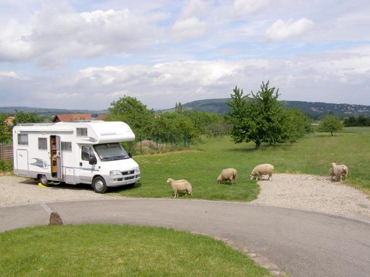 Présenter l’offre auprès des offices de tourisme du secteur peut être un moyen, mais ce qui fonctionne le mieux 
c’est le bouche à oreille et la présence sur les applications qu’utilisent les camping-caristes, avec les avis clients 
ça augmente notre visibilité.